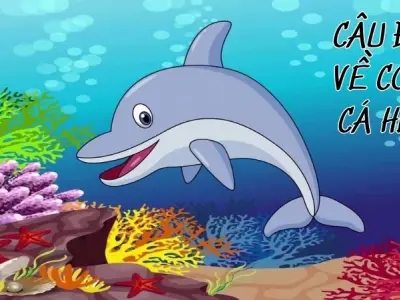 Câu đố về con cá heo giúp bé khám phá biển cả vui nhộn