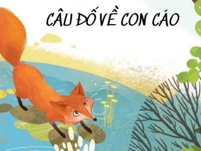 Rèn óc suy luận cho bé qua câu đố về con cáo thông minh