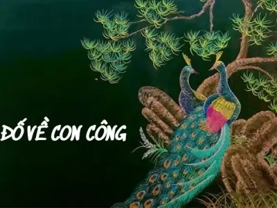 Những câu đố về con công giúp bé tăng tư duy hình ảnh