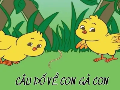 Câu đố về con gà con kích thích trí tưởng tượng bé yêu