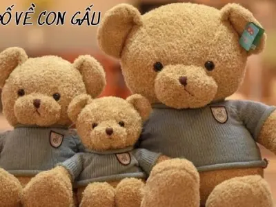 Khám phá câu đố về con gấu giúp tăng trí tưởng tượng
