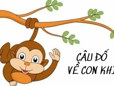 Gợi ý câu đố về con khỉ giúp trẻ em phát triển trí tuệ