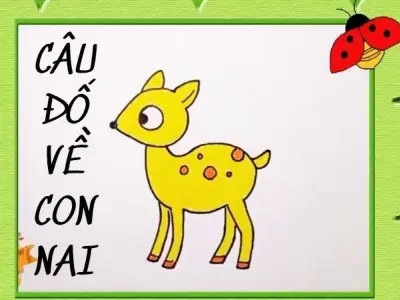 Hé lộ loạt câu đố về con nai đầy bất ngờ và thú vị