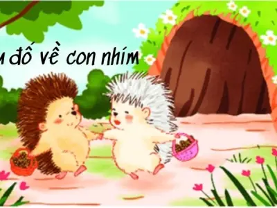 Tuyển tập câu đố về con nhím dí dỏm đậm màu dân gian