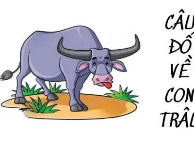 Tuyển chọn câu đố về con trâu hay trong văn học dân gian