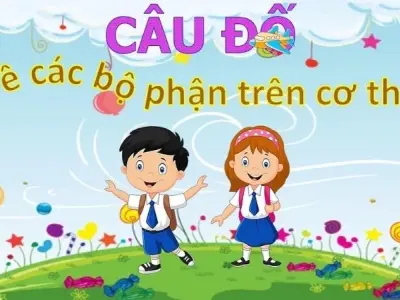 Câu đố về các bộ phận cơ thể khiến bạn giật mình thích thú