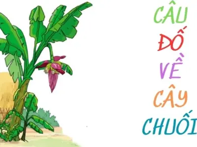 Tuyển tập câu đố về cây chuối hay và dí dỏm cho trẻ em