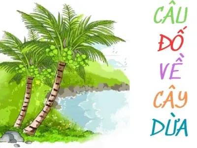 Khám phá những câu đố về cây dừa giàu tính giáo dục