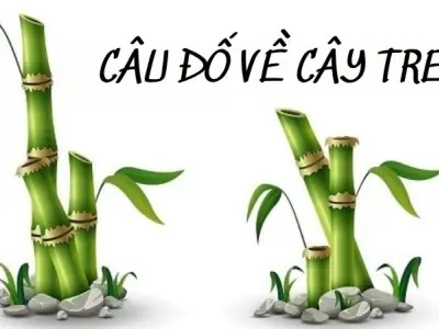 Tuyển tập câu đố về cây tre hay và mang đậm hồn dân tộc