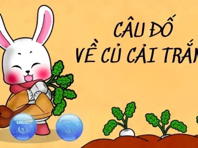 Trọn bộ câu đố về củ cải trắng hay nhất không thể bỏ qua