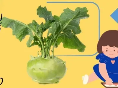 Những câu đố về củ su hào vui nhộn và đầy sáng tạo