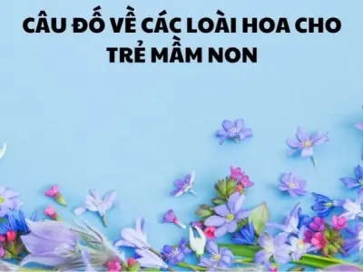 Khám phá câu đố về hoa cho trẻ mầm non cực dễ thương