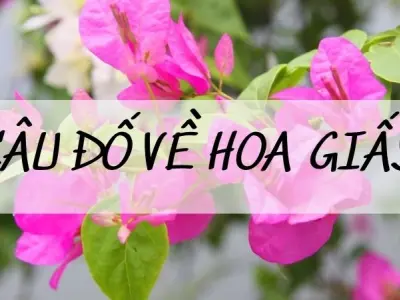 Câu đố về hoa giấy hay giúp trẻ phát triển tư duy ngôn ngữ