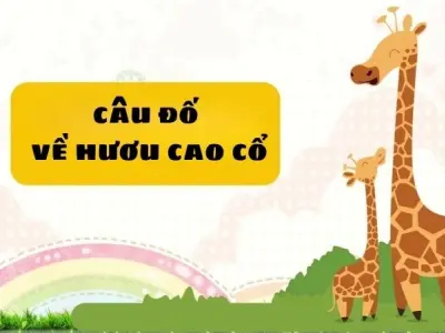 Khám phá câu đố về hươu cao cổ bé nào cũng thích mê