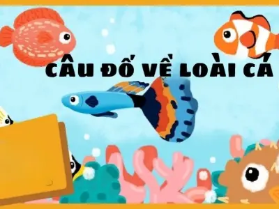Câu đố về loài cá cho bé khám phá thế giới dưới nước