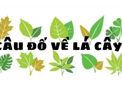 Câu đố về lá cây giúp trẻ khám phá thiên nhiên sống động