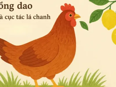 Đồng dao Con gà cục tác lá chanh trong kho tàng dân ca Việt