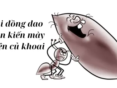 Đồng dao Con kiến mày kiện củ khoai trong văn hóa dân gian
