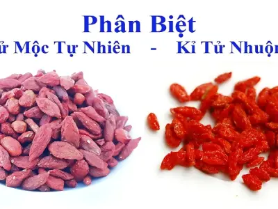 Bật mí bí quyết cách phân biệt kỷ tử thật giả chi tiết