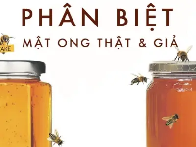 Cách phân biệt mật ong thật giả đơn giản tại nhà