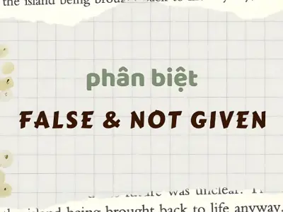 Cách phân biệt Not Given và False dễ hiểu qua ví dụ thật