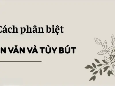 Cách phân biệt tùy bút và tản văn cho học sinh THPT