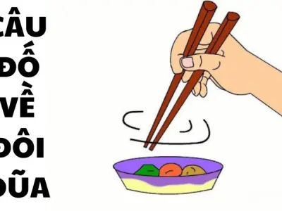 Tuyển tập câu đố về đôi đũa cực dí dỏm và thông minh