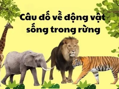 Câu đố động vật sống trong rừng nâng cao trí tưởng tượng