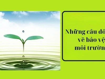 99% trả lời sai những câu đố vui về bảo vệ môi trường này