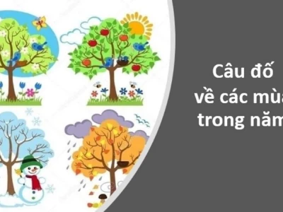 Câu đố về các mùa trong năm thú vị cho mọi lứa tuổi thử sức