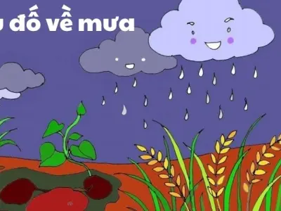 Câu đố về mưa đậm chất thơ gây sốt khắp mạng xã hội