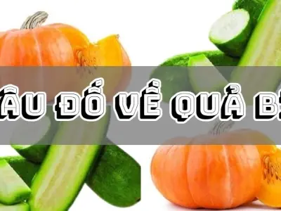 Tổng hợp câu đố về quả bí ngắn gọn nhưng cực kỳ dí dỏm