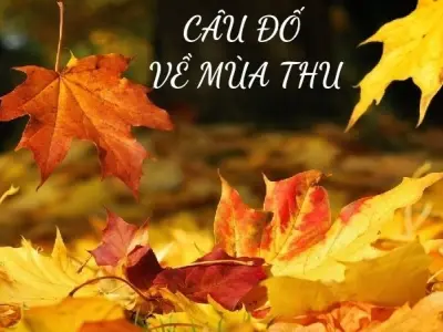 Tuyển tập câu đố về mùa thu giúp bé khám phá thiên nhiên