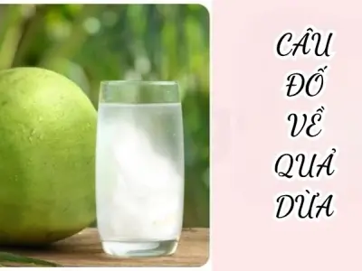 Những câu đố về quả dừa vui nhộn giúp bé dễ ghi nhớ