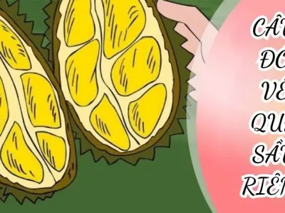 Câu đố về quả sầu riêng hài hước giúp bé học thật vui