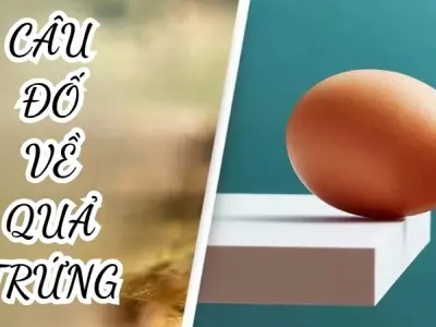 Giải mã câu đố về quả trứng khiến dân tình hoang mang