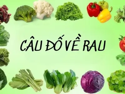 Khám phá kho báu câu đố về rau trong kho tàng dân gian Việt