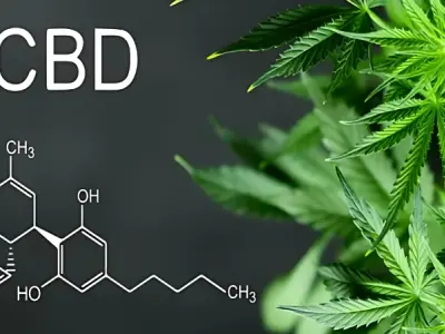 CBD là gì? Tác động đến cơ thể và sự khác biệt với THC