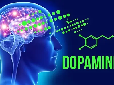 Dopamine là gì? Hiểu đúng về chất dẫn truyền thần kinh