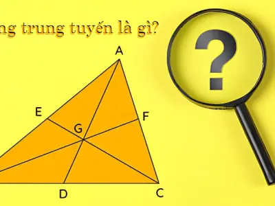 Đường trung tuyến là gì và cách xác định chính xác