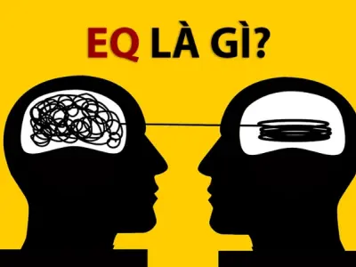 EQ là gì? Khám phá trí tuệ cảm xúc và sức mạnh tiềm ẩn