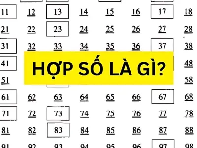 Hợp số là gì? Những điều bạn cần biết để học tốt Toán