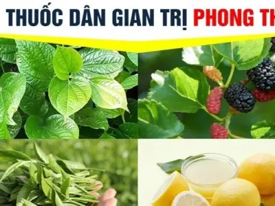 Những bài thuốc dân gian trị phong thấp ít ai còn nhớ