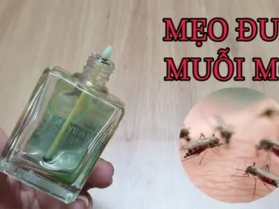 Hé lộ mẹo dân gian đuổi muỗi khiến côn trùng sợ xanh mặt