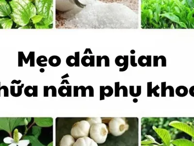 Cách chữa nấm phụ khoa bằng dân gian hiệu quả không ngờ tới