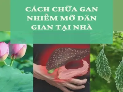 Mẹo dân gian chữa gan nhiễm mỡ an toàn không tốn kém
