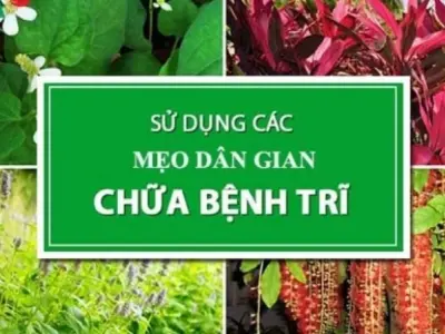 Tiết lộ mẹo chữa trĩ dân gian hiệu quả ít ai ngờ tới