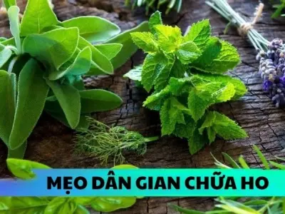 Mẹo dân gian chữa ho an toàn cho cả trẻ nhỏ lẫn người già
