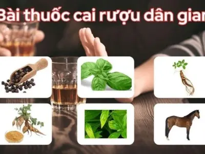 Mẹo cai rượu dân gian - Cai rượu vĩnh viễn an toàn tại nhà