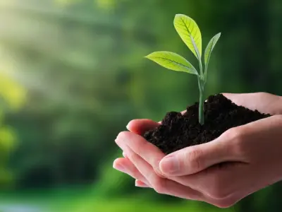 Môi trường là gì? Hiểu đúng để bảo vệ trái đất xanh